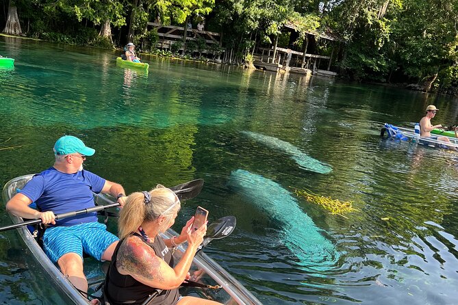 Silver Springs Clear Kayak Manatee, Monkey & Wildlife Adventures - Clear Kayaks, Solo vs Tandem, and Paddleboards Explained