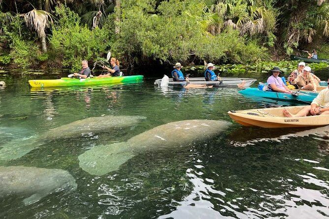 Silver Springs Clear Kayak Manatee, Monkey & Wildlife Adventures - Getting There: Meet-Up Location and What to Expect at Arrival
