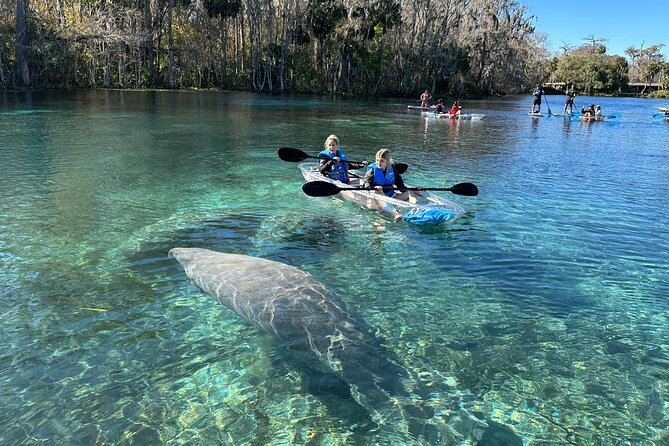 Silver Springs Clear Kayak Manatee, Monkey & Wildlife Adventures - Who This Tour Fits Best (and Who Might Want a Different Plan)