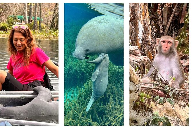 Silver Springs Clear Kayak Manatee, Monkey & Wildlife Adventures - Your 2-Hour Route on the Water at Silver Springs