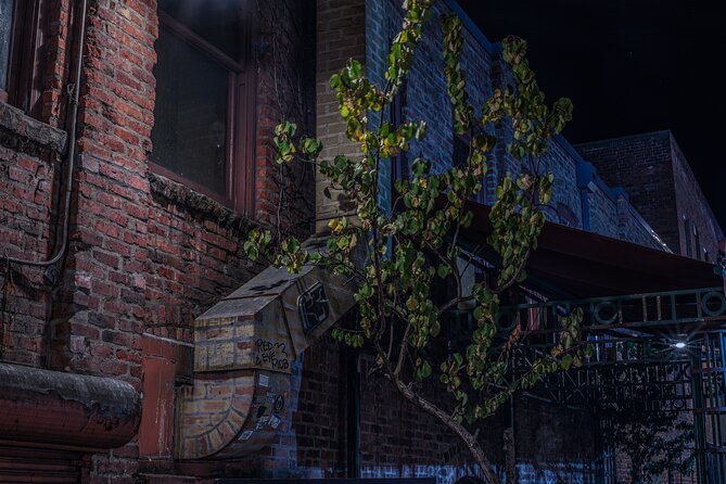 Sinister Sins, Scandal, and Shadows: Seattle Ghost Tour - The 1903 mortuary stop: death as the building’s main job