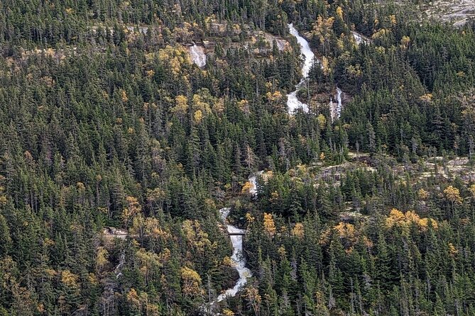 Skagway City and Summit Tour - Price and Value: Is $76 Worth 2.5 Hours in Skagway?
