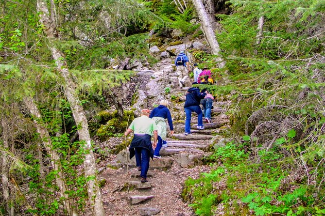 Skagway Shore Excursion Chilkoot Trail Hike and Float Tour - Chilkoot Trail and Taiya River in One 4-Hour Block