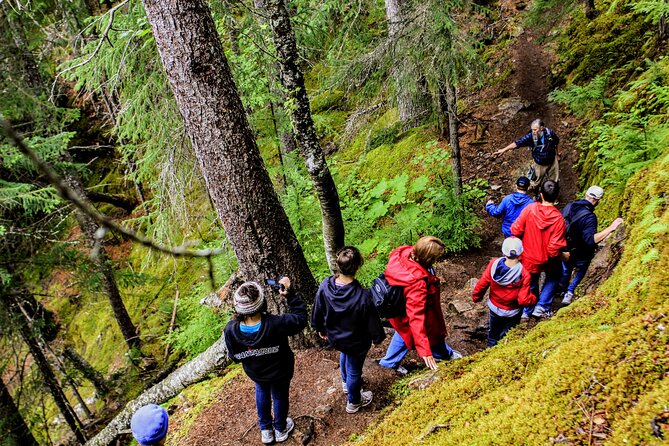 Skagway Shore Excursion Chilkoot Trail Hike and Float Tour - Wildlife, Mushrooms, and the Kind of Stories Your Guide Brings
