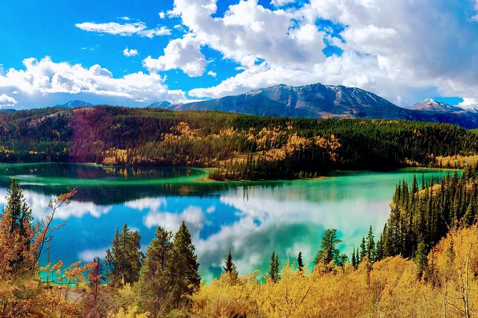 Skagway Shore Excursion: Full-Day Tour of the Yukon - Key things I think are worth your attention