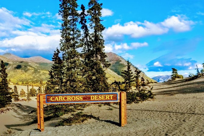 Skagway Shore Excursion: Full-Day Tour of the Yukon - Why this Skagway to Yukon day trip makes sense