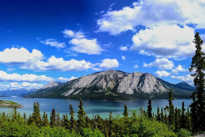 Skagway Shore Excursion: Full-Day Tour of the Yukon - Passport reality check, before you pack your camera
