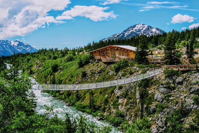 Skagway Shore Excursion: Half-Day Tour to the Yukon Border and Suspension Bridge - Why the Klondike Highway is the main event