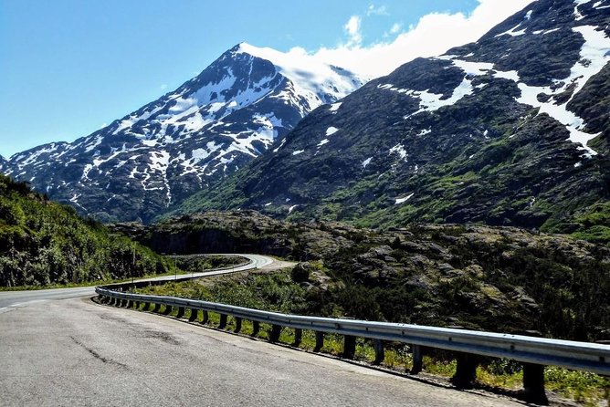Skagway Shore Excursion: Half-Day Tour to the Yukon Border and Suspension Bridge - Yukon Suspension Bridge crossing: time for real views, not just photos