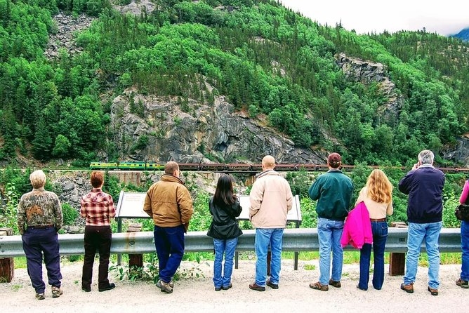 Skagway Shore Excursion: Half-Day Tour to the Yukon Border and Suspension Bridge - Group size, comfort, and how the timing feels