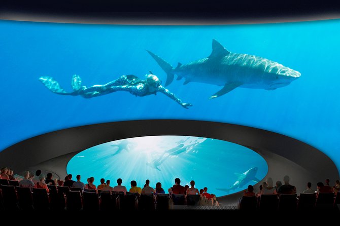 Skip the Ticketing Line: Aquarium of the Pacific General Admission Ticket - 4D movie and Pacific Visions: why the show breaks up the walking