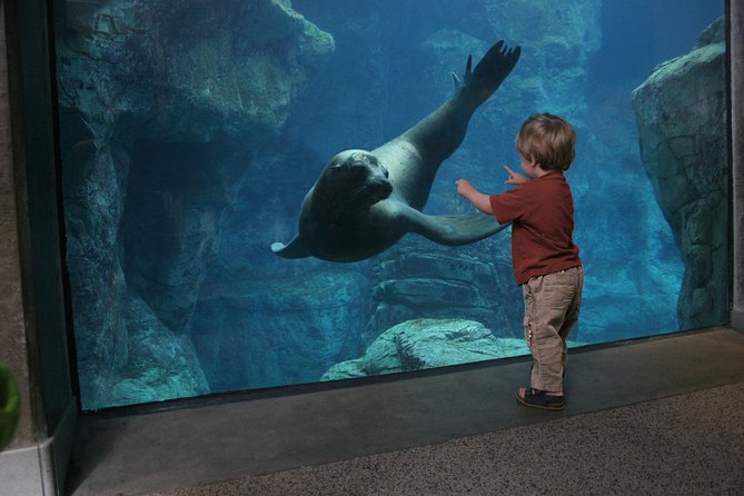 Skip the Ticketing Line: Aquarium of the Pacific General Admission Ticket - What included admission does, and what you should budget for