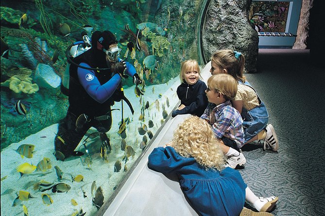 Skip the Ticketing Line: Aquarium of the Pacific General Admission Ticket - The Pacific Ocean theme, 19 habitats, and what that means for you