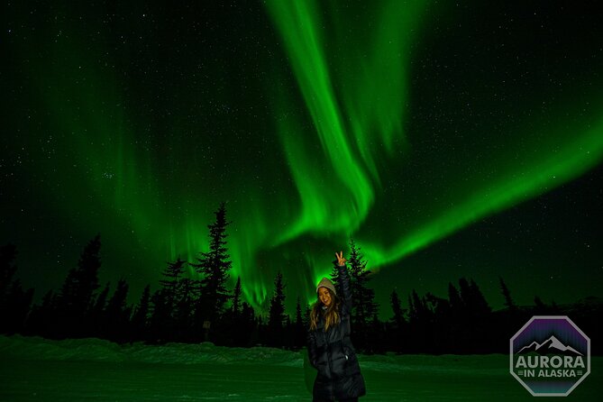 SkyChase™ | Northern Lights Experience - Free Photography & More - Starting close, then chasing the clearest sky