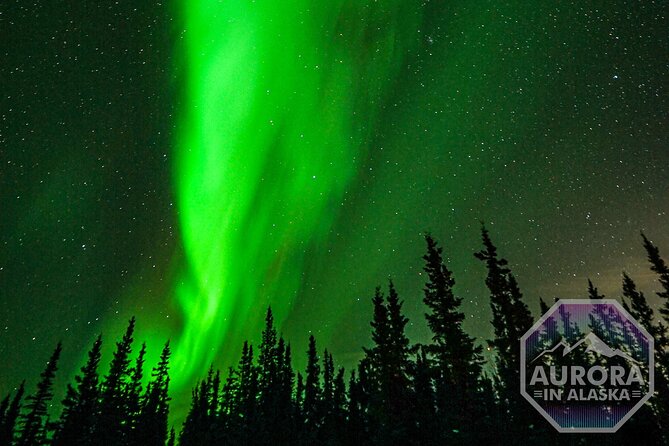 SkyChase™ | Northern Lights Experience - Free Photography & More - North Pole detour: quirky charm on the way to darker skies