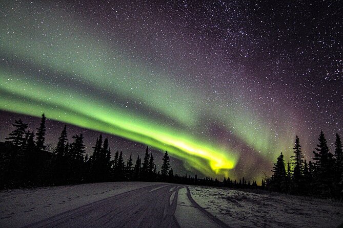 SkyChase™ | Northern Lights Experience - Free Photography & More - Camera help that turns staring into photos