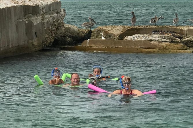 Small Group 2 Hour Dolphin Cruise with Snorkeling to Shell Key - 2 Hours on a Small Pontoon: Dolphin Watching That Feels Personal