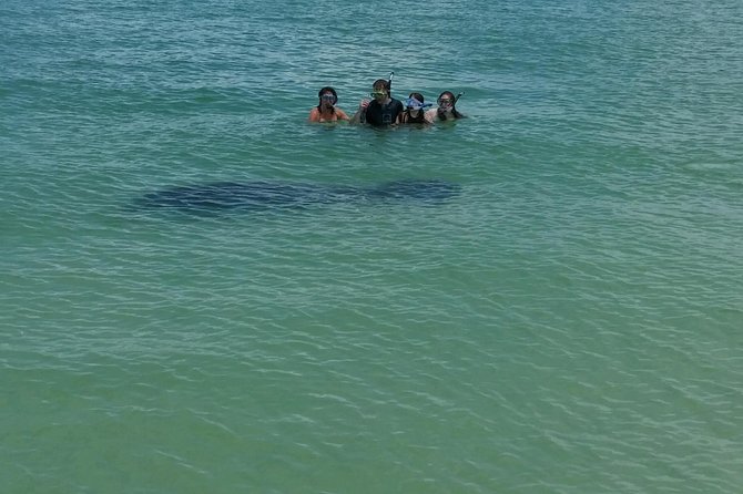 Small Group 2 Hour Dolphin Cruise with Snorkeling to Shell Key - Captain Factor on This Tour: Noel, Megan, and Dave Stand Out