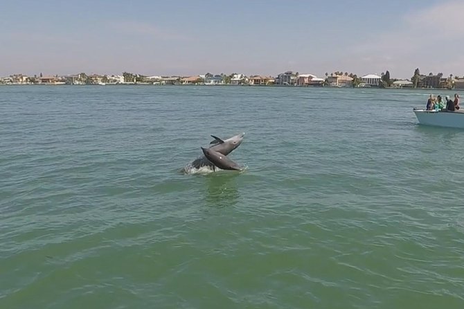 Small Group 2 Hour Dolphin Cruise with Snorkeling to Shell Key - Timing, Check-In, and What to Bring for a Smooth Ride