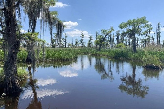 Small-Group Airboat Swamp Tour with Downtown New Orleans Pickup - From Downtown Pickup to the Barataria Preserve