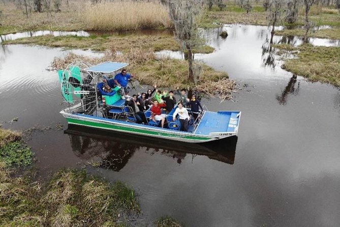 Small-Group Airboat Swamp Tour with Downtown New Orleans Pickup - Weather and Timing: Gators, Chilly Mornings, and What to Wear