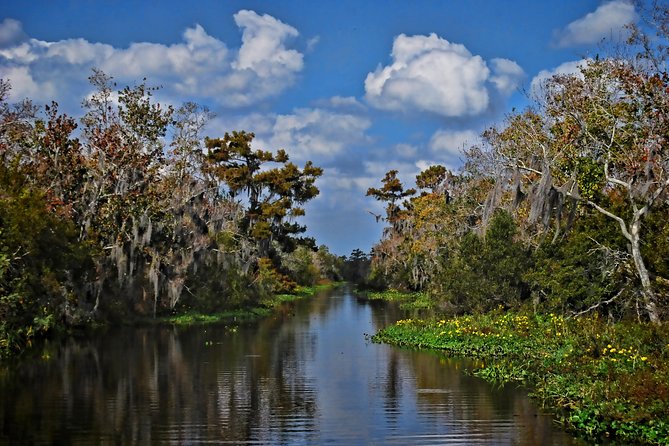 Small-Group Bayou Airboat Ride with Transport from New Orleans - Who Should Book This Bayou Airboat Ride?