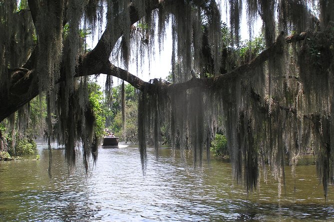Small-Group Bayou Airboat Ride with Transport from New Orleans - Final Call: Should You Book This Airboat Tour From New Orleans?