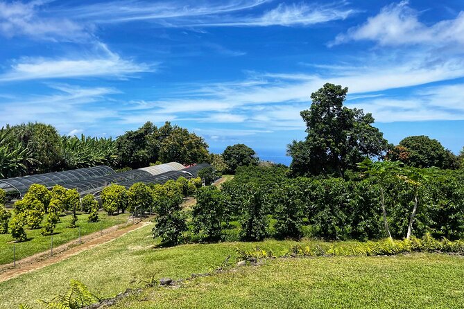 Small-Group Big Island Tour: Hawaii Volcanoes National Park and Kona Coffee Farm - Coastal drives: Kailua-Kona and Captain Cook pass-by moments