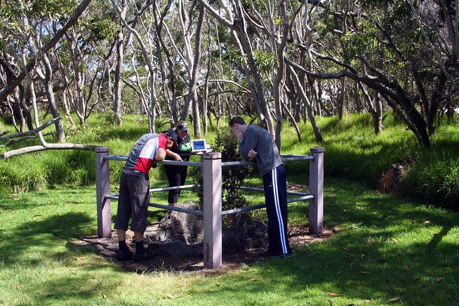 Small-Group Big Island Tour: Hawaii Volcanoes National Park and Kona Coffee Farm - Driving parts you might skip on your own, and why the guide matters