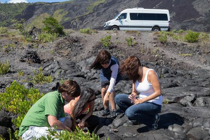 Small Group Big Island Twilight Volcano and Stargazing Tour - Punaluu Black Sand Beach: sea turtles from shore