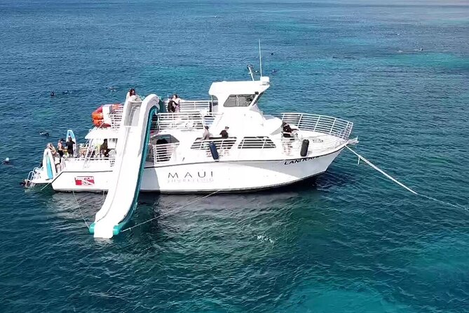 Small Group Coral Gardens Snorkel & Waterslide Adventure - Whale Watching on the Way: Free When Humpbacks Are Around