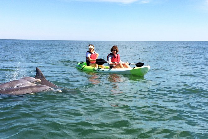 Small Group Dolphin Kayak Eco-Tour - Quick hits before you go