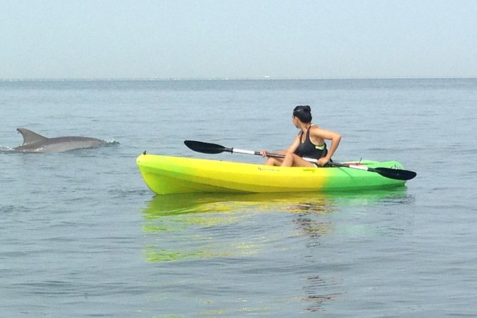 Small Group Dolphin Kayak Eco-Tour - Kayaks and safety: how beginners are handled