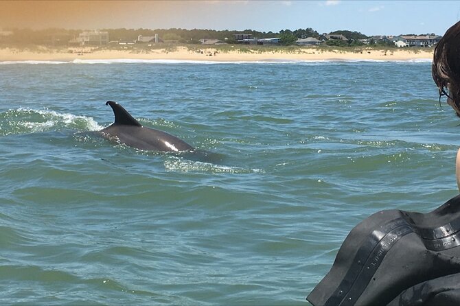 Small Group Dolphin Kayak Eco-Tour - The guides: the real reason this feels personal