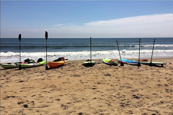 Small Group Dolphin Kayak Eco-Tour - Paddling toward Cape Henry Lighthouses: the dolphin route