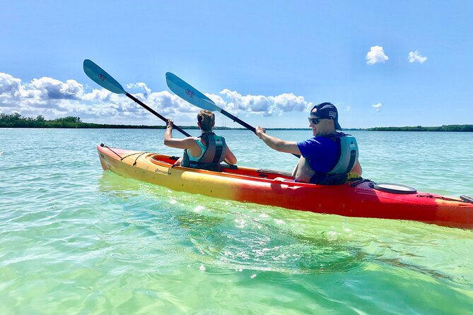 Small Group Kayak Tour of the Shell Key Preserve - Key highlights at a glance