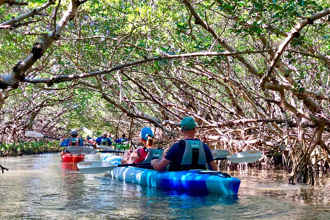 Small Group Kayak Tour of the Shell Key Preserve - Mangrove tunnels and open water: the part most people remember