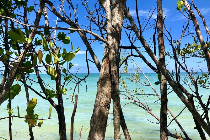 Small Group Kayak Tour of the Shell Key Preserve - The stop at Shell Key Preserve: beach time, swimming, and shell collecting