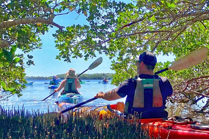 Small Group Kayak Tour of the Shell Key Preserve - What $79 covers, and what you should bring