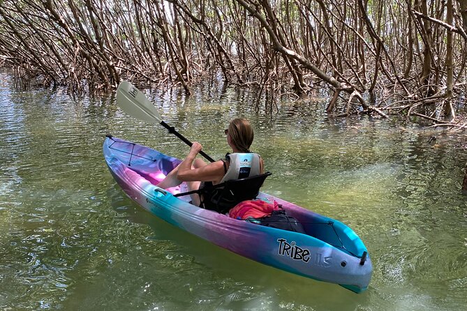 Small Group Kayak Tour of the Shell Key Preserve - Guide vibe: how Tracy, Taylor, Brian, Kristi, and Alivia shape the trip