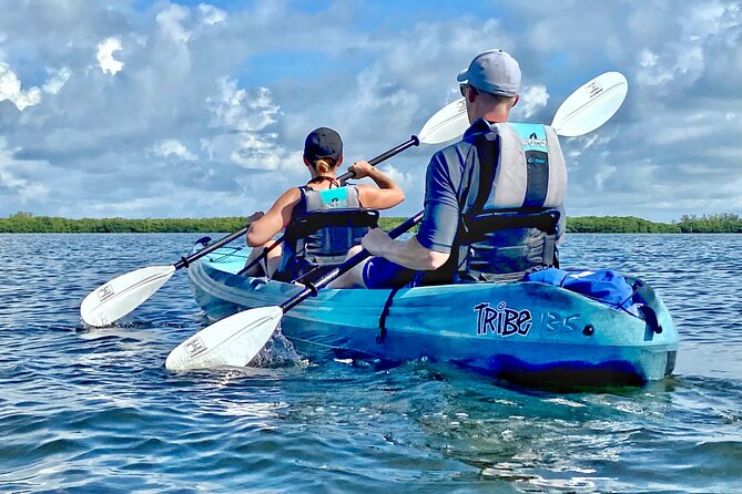 Small Group Kayak Tour of the Shell Key Preserve - Who should book this Shell Key kayak tour, and who might skip