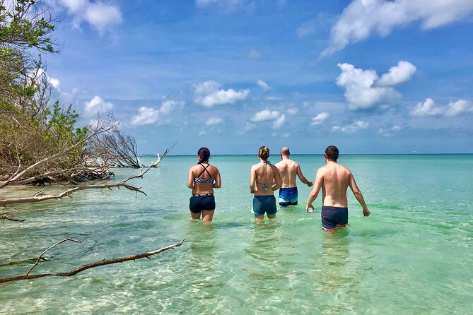 Small Group Kayak Tour of the Shell Key Preserve - Starting at 2800 Pinellas Bayway S in Tierra Verde, and how the 3 hours flow