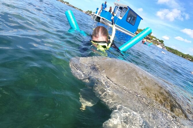 Small Group Manatee Snorkel Tour with In-Water Guide and Photographer - Snorkeling time: what you’ll actually be doing in the water