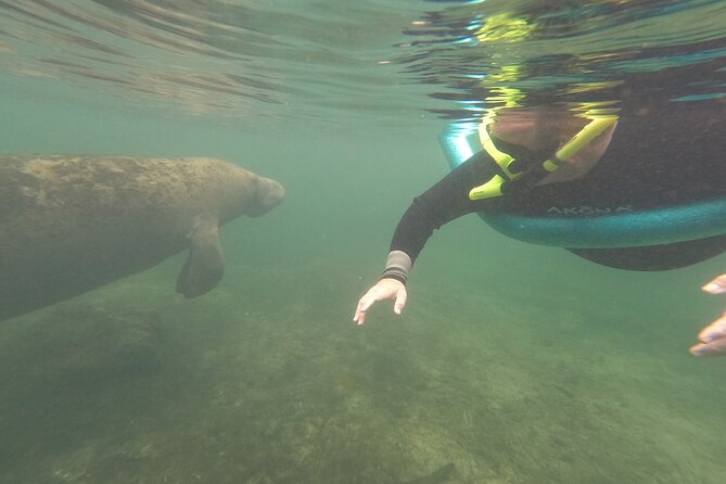 Small Group Manatee Snorkel Tour with In-Water Guide and Photographer - Pricing and value: is $89.99 fair for what you get?