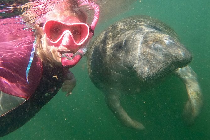 Small Group Manatee Snorkel Tour with In-Water Guide and Photographer - The van ride and pontoon boat: how the day stays smooth
