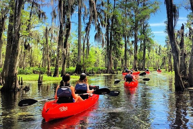Small-Group Manchac Swamp Kayak Tour - Key things I’d circle before booking