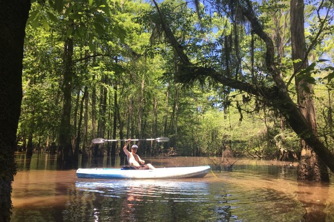 Small-Group Manchac Swamp Kayak Tour - Manchac Swamp kayak time, with narrow channels and real wildlife focus
