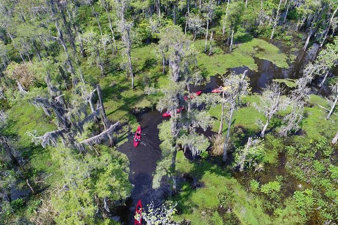Small-Group Manchac Swamp Kayak Tour - The paddle lesson: how you go from unsure to steady