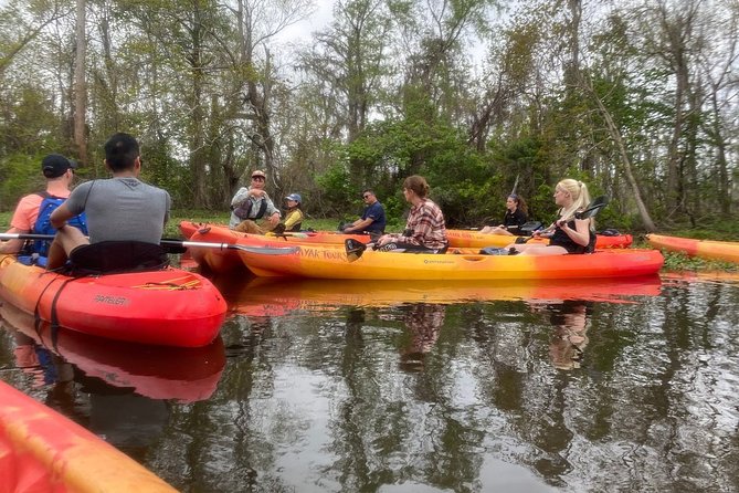 Small-Group Manchac Swamp Kayak Tour - Wildlife spotting: what to watch for and how to improve your odds