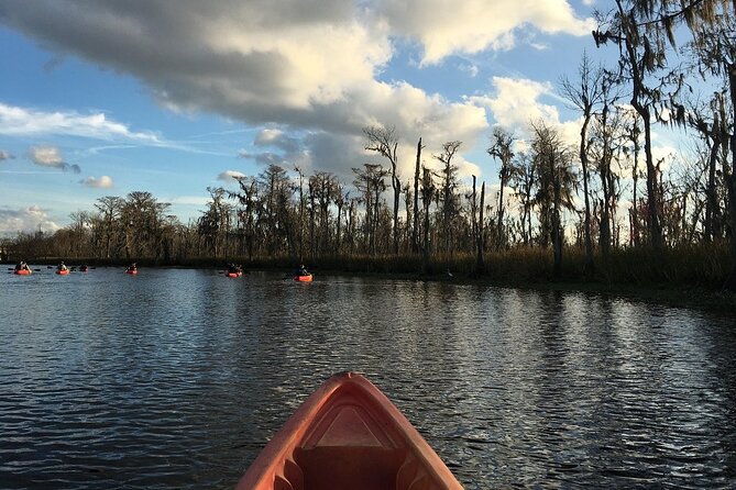 Small-Group Manchac Swamp Kayak Tour - Stop on the water: what the flow feels like from launch to return
